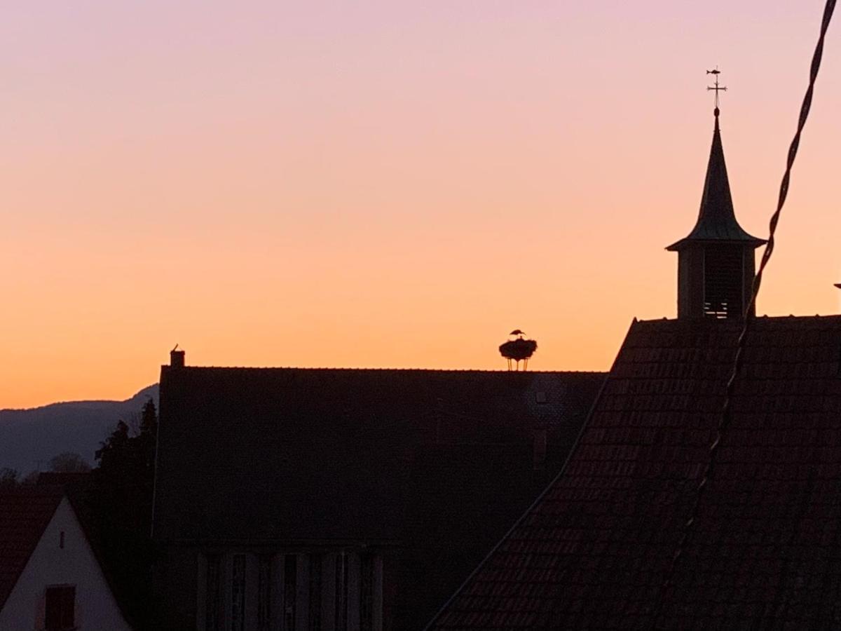 Nid De Cigogne Lägenhet Illhaeusern Exteriör bild
