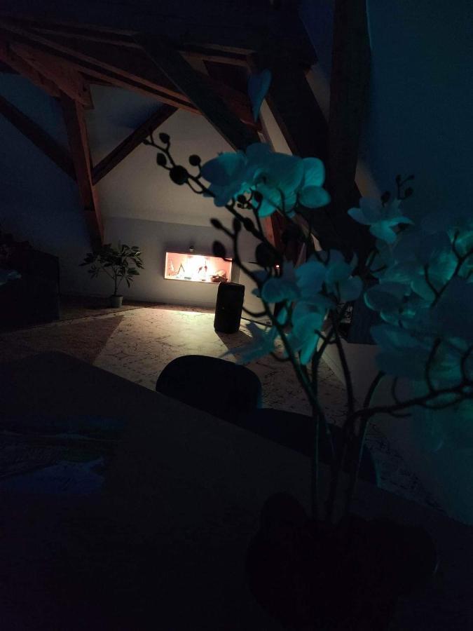 Nid De Cigogne Lägenhet Illhaeusern Exteriör bild